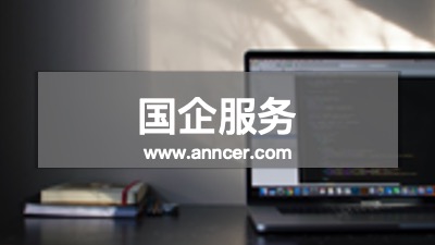 國企咨詢服務公司